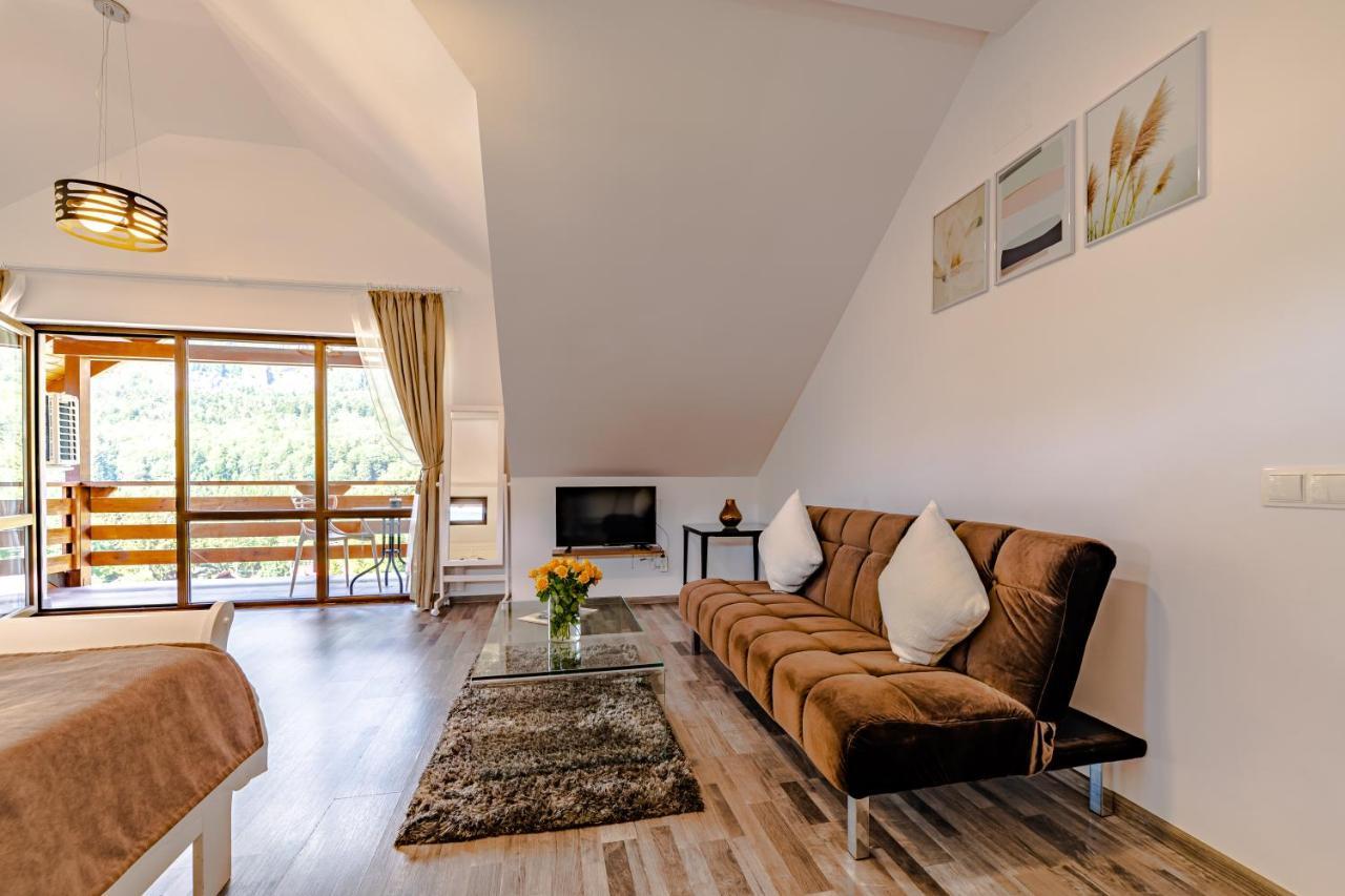 Yael Luxury Apartments 2 Buşteni Exterior foto